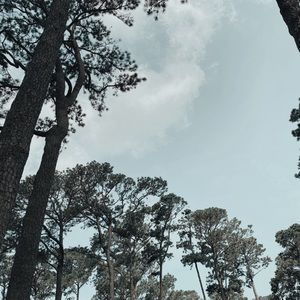 Meet your Posher, Brooklynn